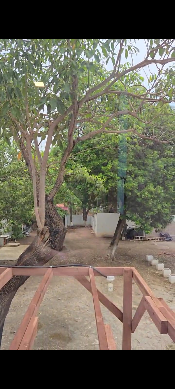 WhatsApp Image 2025-09-30 at 1.32.43 PM (3)