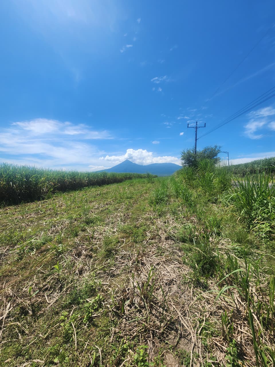 Imagen de WhatsApp 2025-10-23 a las 10.35.27_a1d8849d