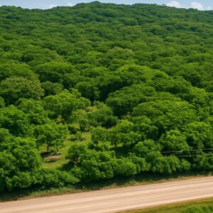 Terreno de 73 mz cerca del aeropuerto del Pacífico, La Unión.