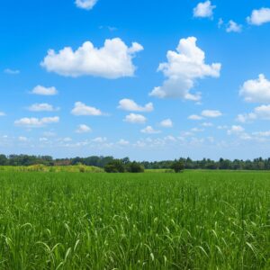 En venta 33 Mz agrícolas en Zacatecoluca, La Paz, El Salvador