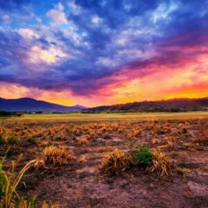 En Venta 1 Mz Industrial En Nejapa Sobre Carretera Pavimentada, El Salvador