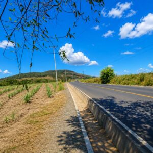 En Venta 1 Mz Industrial En Nejapa, El Salvador