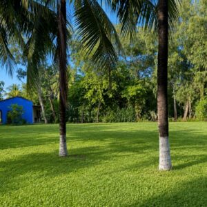 En Venta Propiedad Comercial Cerca Del Aeropuerto De Comalapa,San Luis Talpa, El Salvador