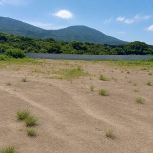 En Alquiler Plantel Industrial De 5,000 M²   En Quezaltepeque, El Salvador