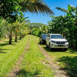 En Venta 6 Manzanas Urbanizables, Contiguo A La Ciudad De San Juan Opico, El Salvador